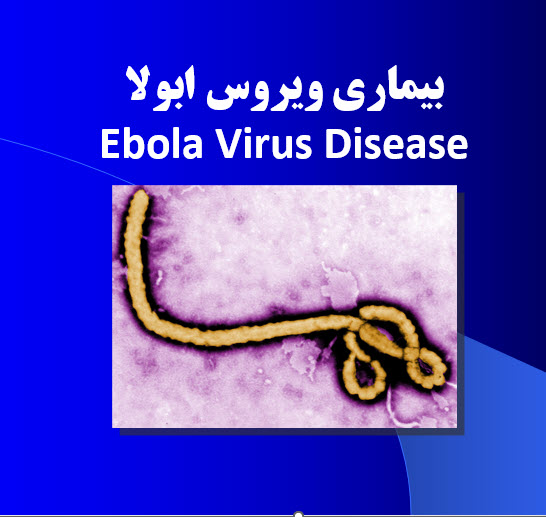 Ebola ppt